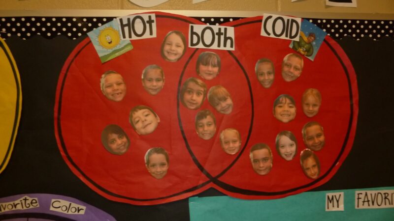 hot or cold Venn diagram