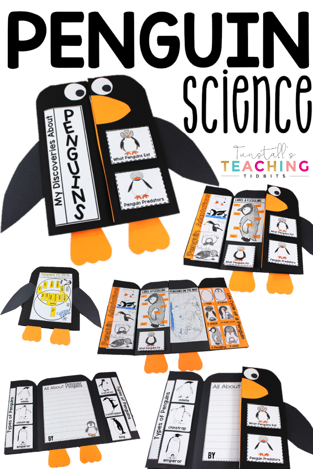 Penguin Interactive Science