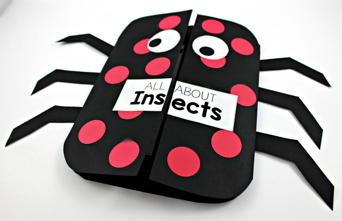 Insect Science Activities - Tunstall's Teaching