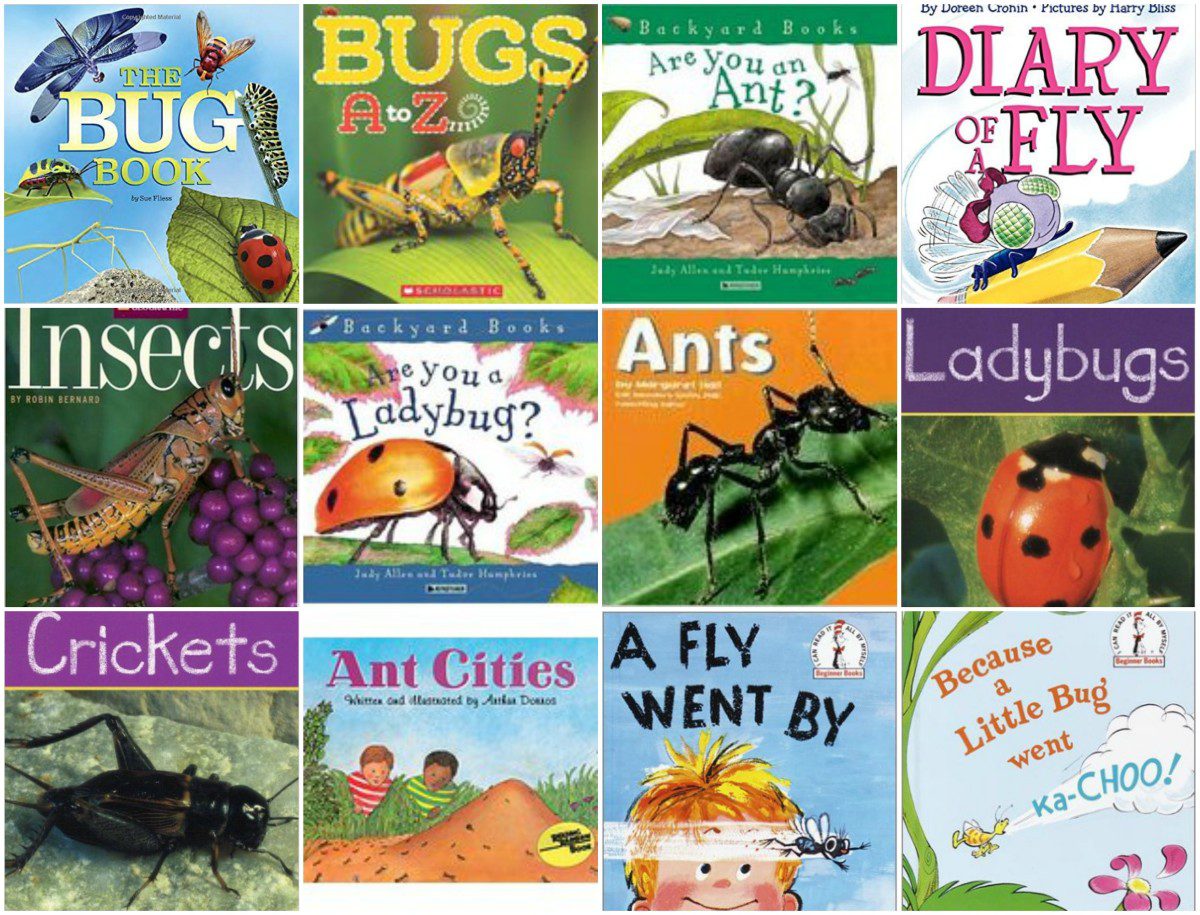 Insects science. Insects reading a1.