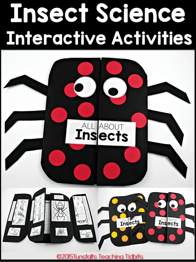 Interactive activities. Big Science 1 Active teach. Big activities