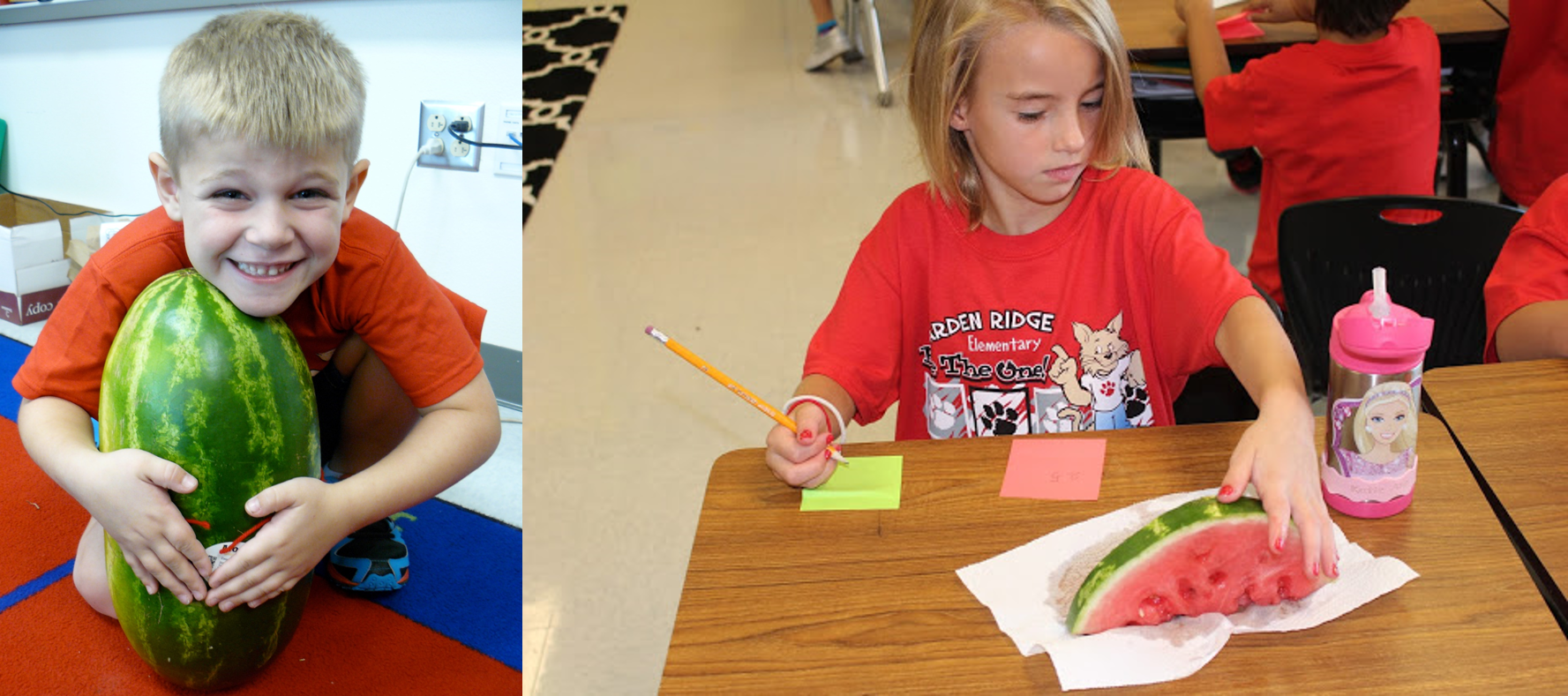 Watermelon Science