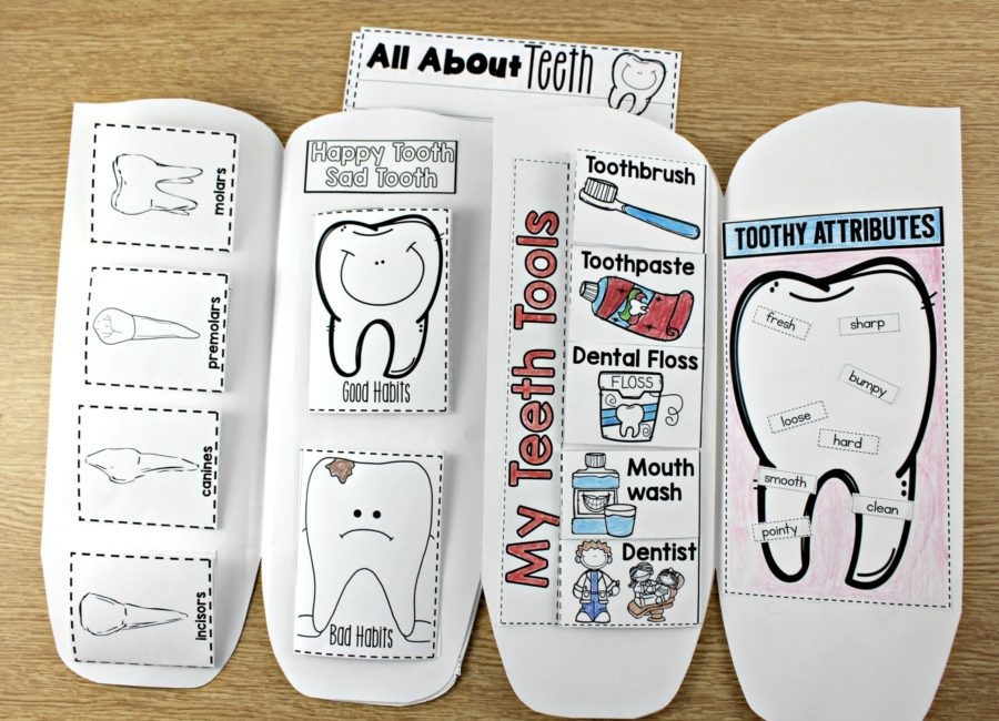 Dental Health Tooth Book