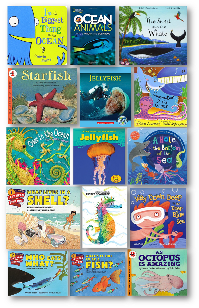 Collection of fiction and nonfiction ocean books for children about sea animals, shells, fish, jellyfish, whales, and ocean habitats