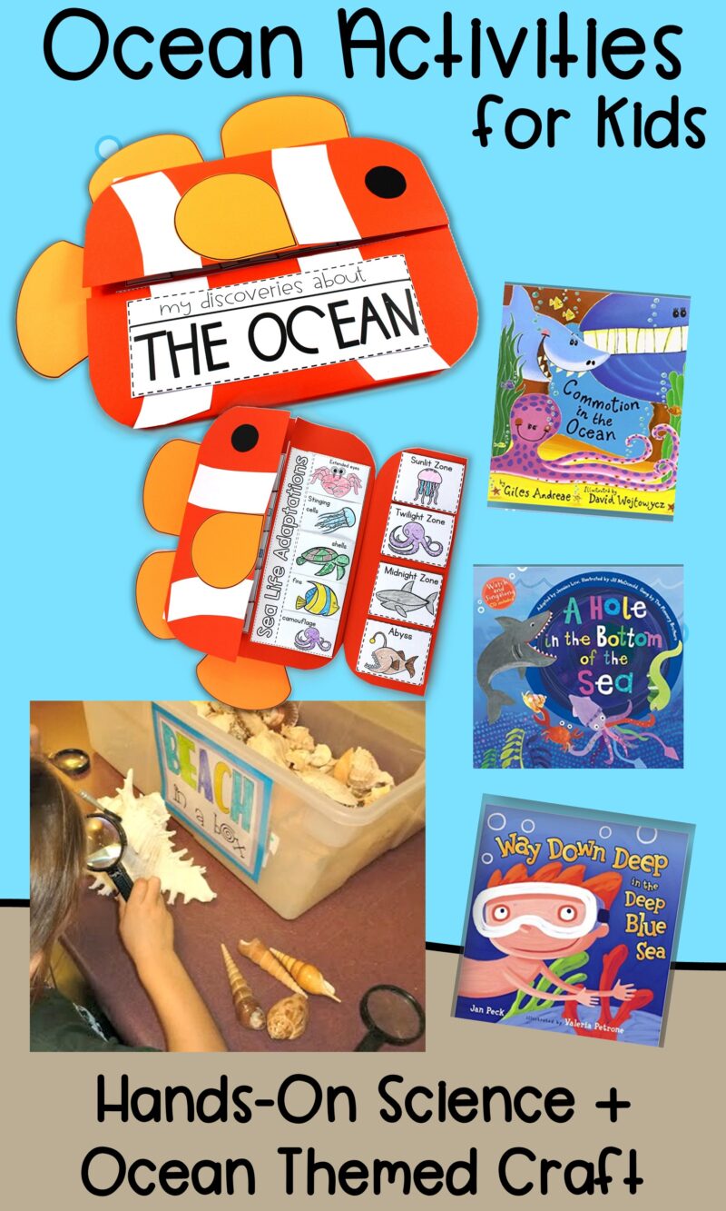 Hands-on ocean science activities with a clownfish craft, beach observation box, seashells, and ocean books for kids