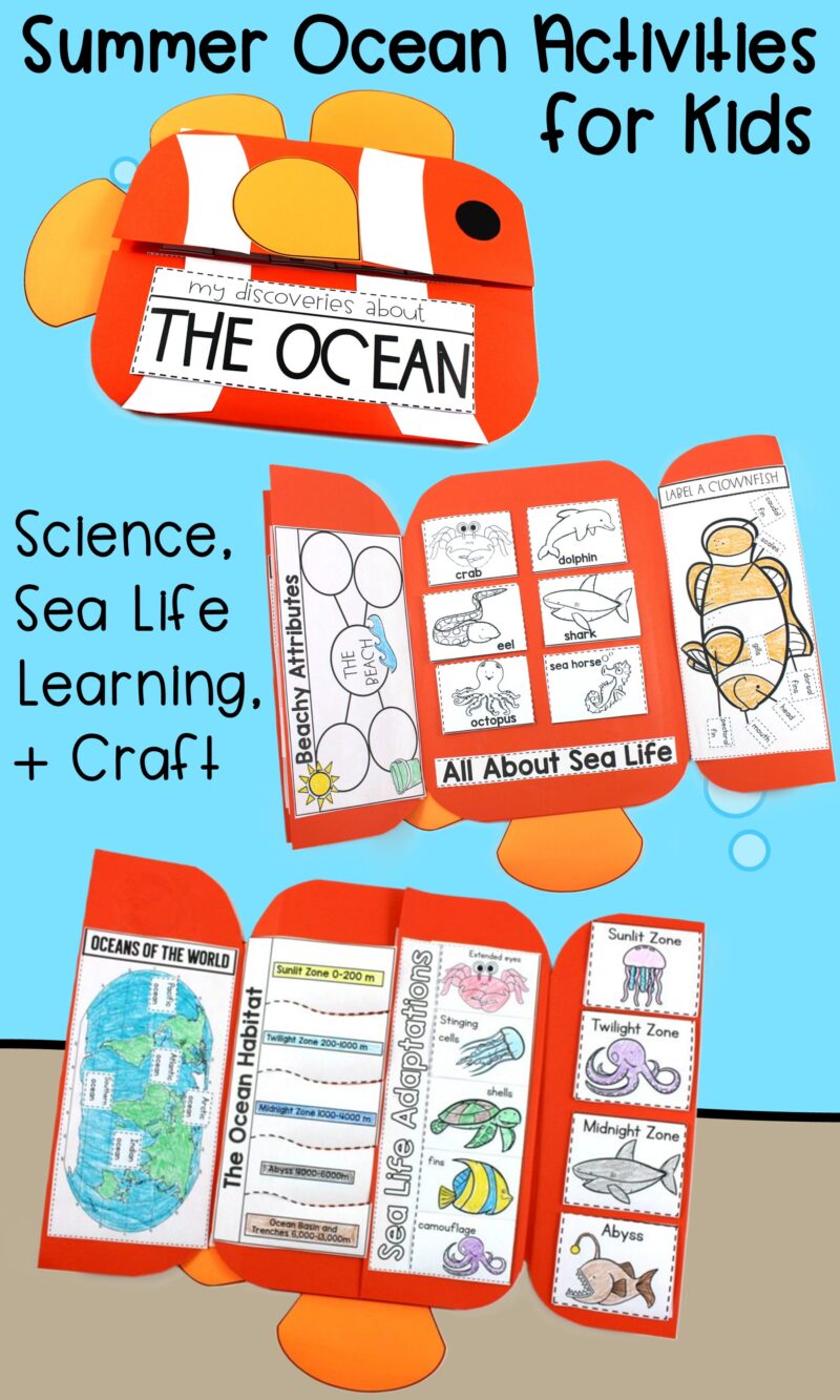 ocean zones, adaptations, habitats, and map activities
