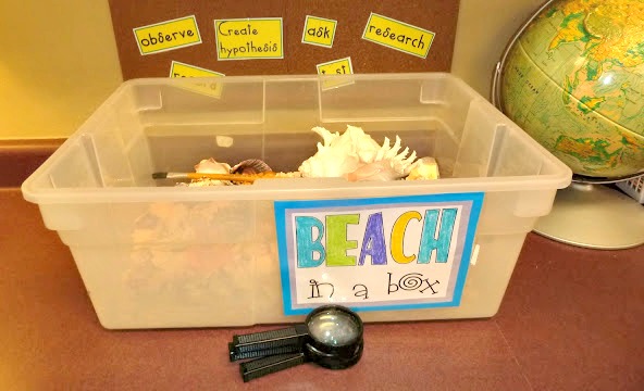 Hands-on ocean science activity with shells, magnifying tools, and inquiry prompts