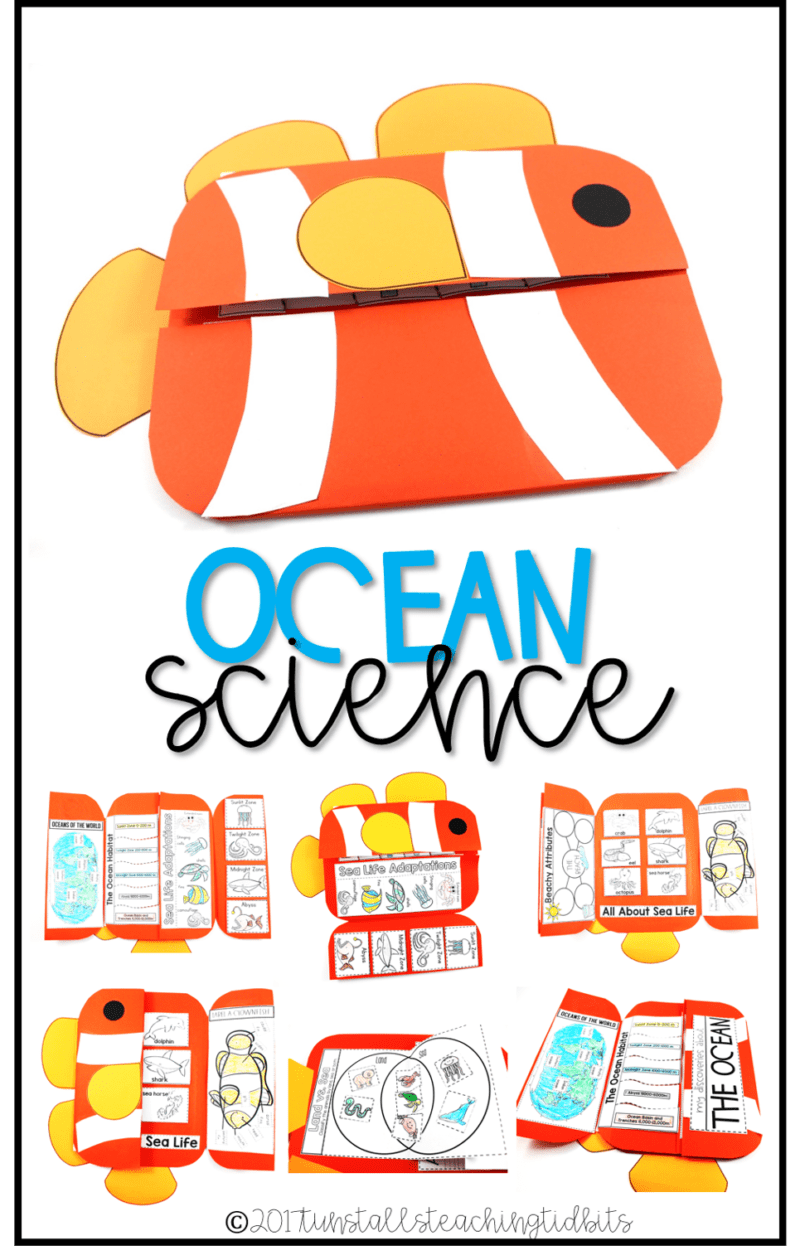 ocean science interactive science book for kindergarten, first grade, second grade