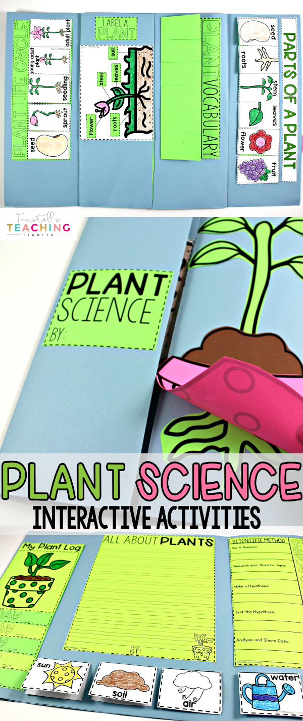 plant science summer science