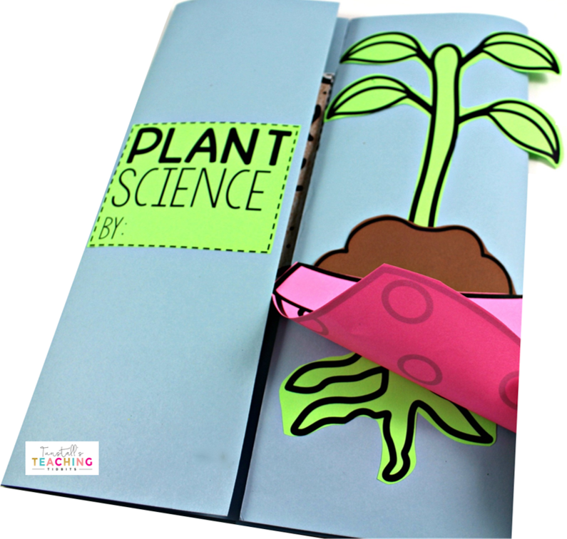 Interactive Plant Science