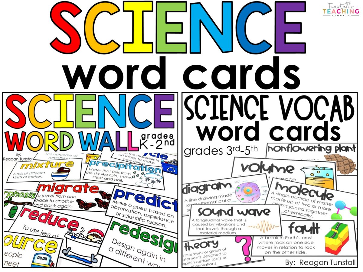 Wordwall articles. Science Word. Vocab Wall. Wordwall warm up. Group 1 reading Wordwall.