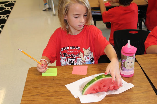 watermelon summer science