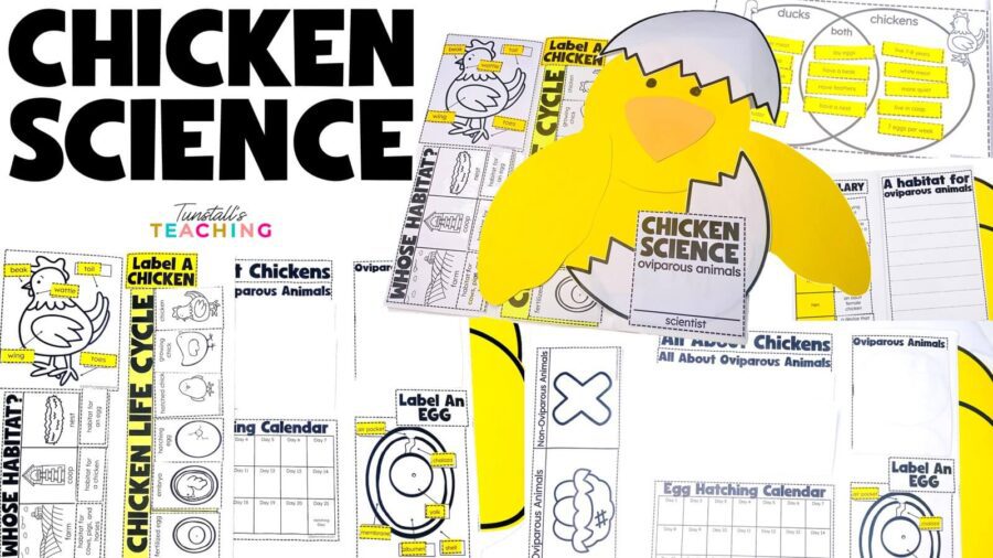Chicken Science and Oviparous Animals
