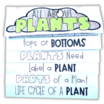 six photos of an all about plants flip book with parts of a plant, life cycle of a plant, label a plant, tops or bottoms, and plants need activities.