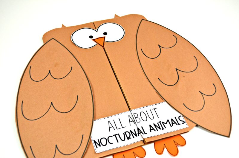 Owls nocturnal animal craft learning book