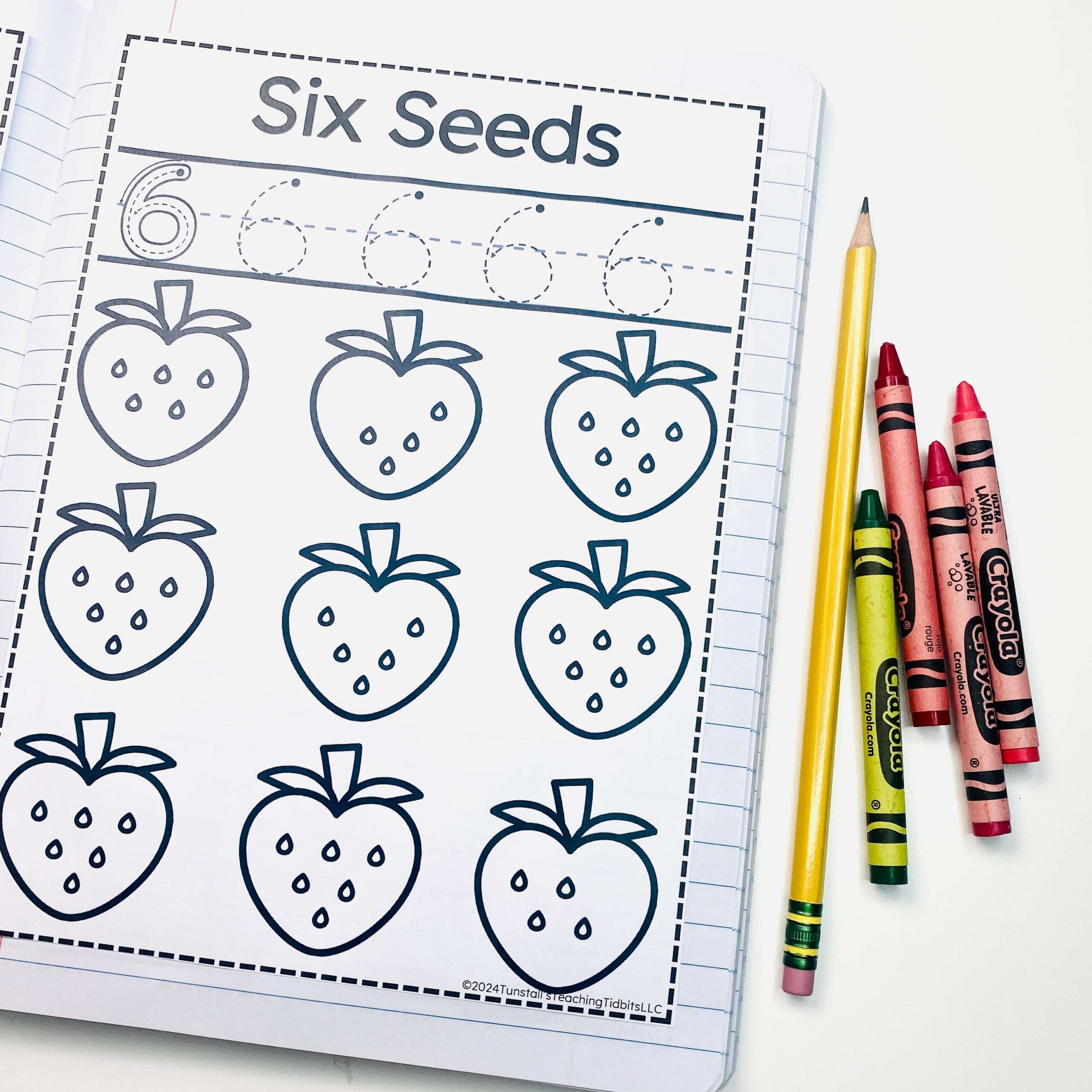 total math learning log activity six seeds. 