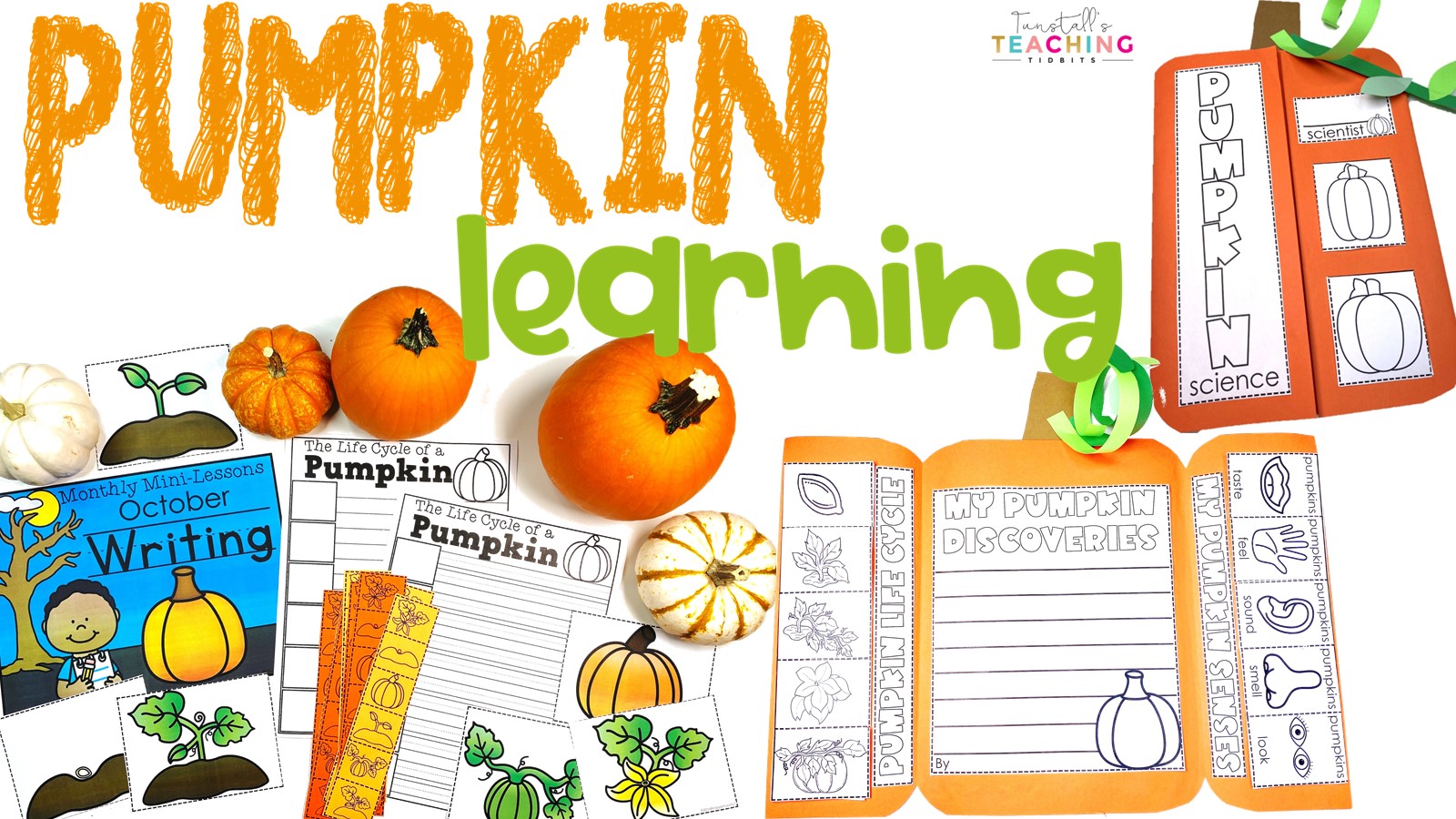 a collage of school activities about pumpkins life cycle of a pumpkin, craft book with pumpkin writing, five senses