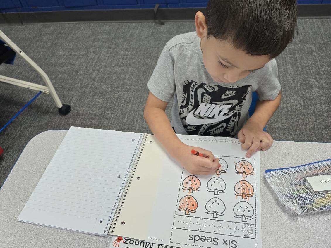 Student working in a learning log on the number 6 by coloring strawberries with 6 seeds. 