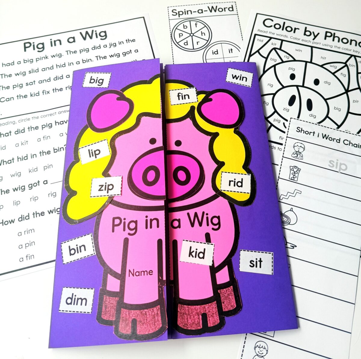 Pig in a wig phonics foldable decodable reading passage