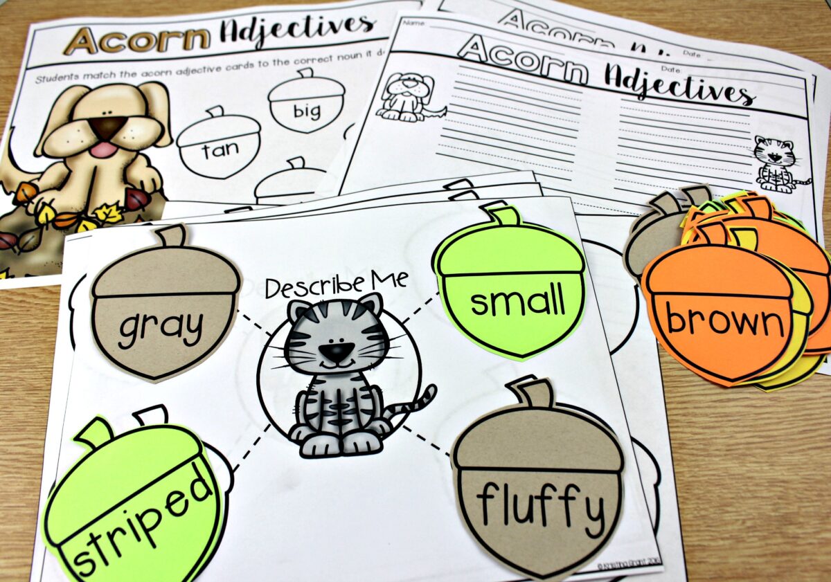 Second Grade Literacy