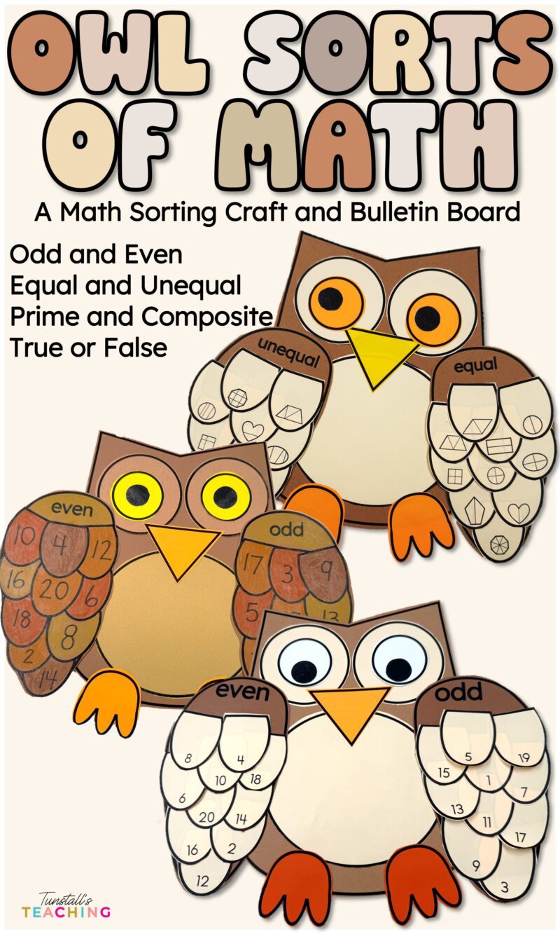 bring math to life with owl math sorts
