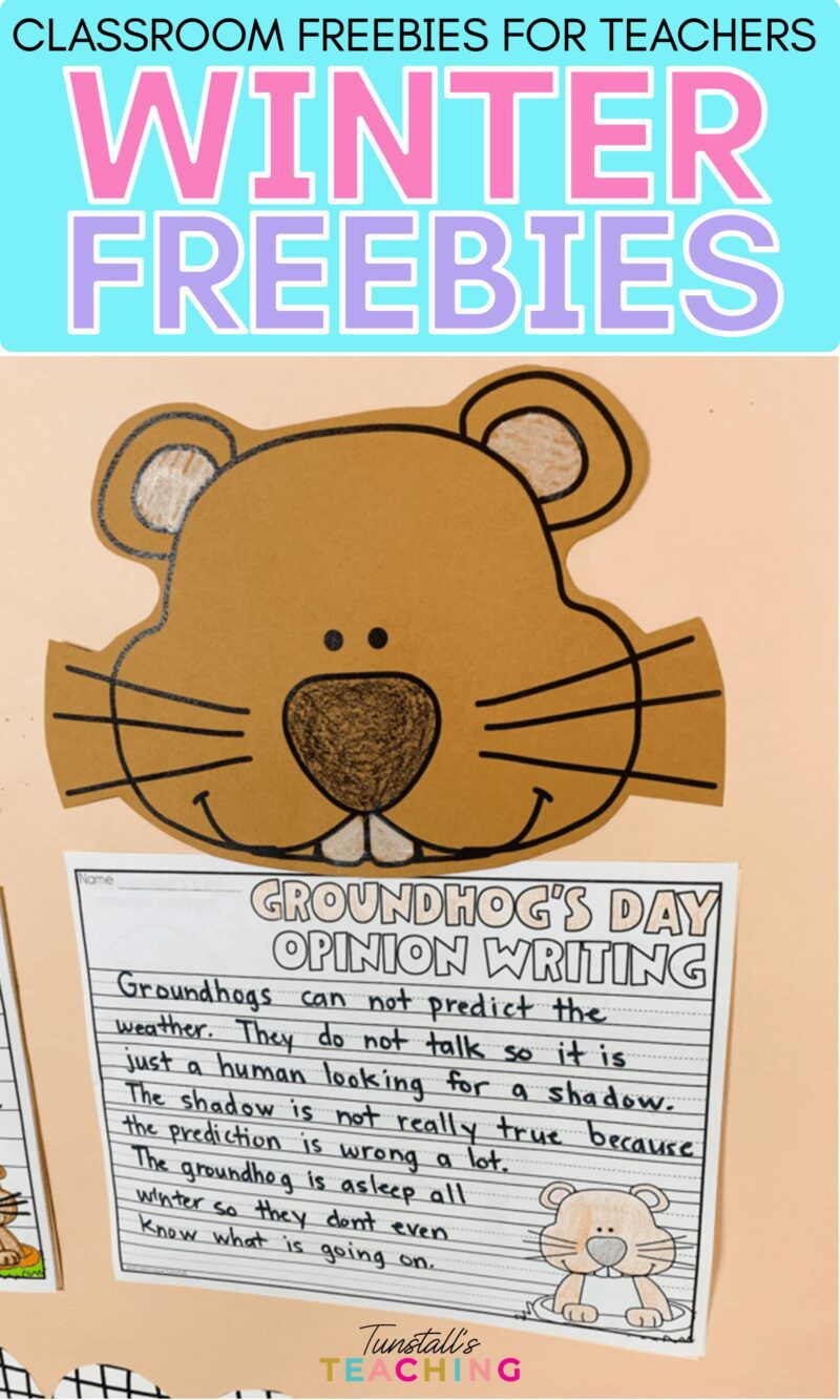 Groundhog Day writing freebie with fact and opinion writing activity for elementary students