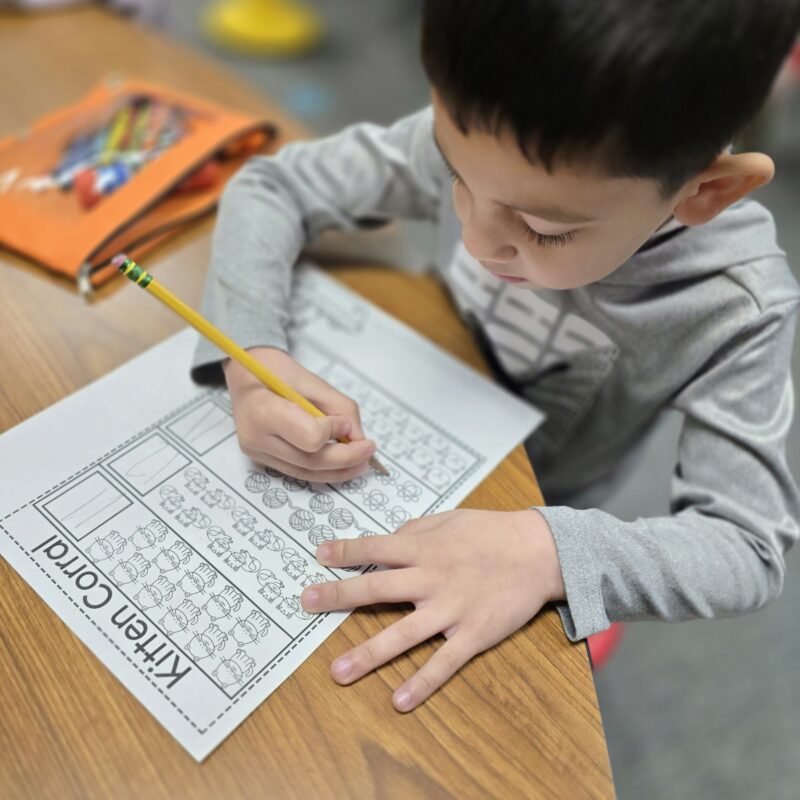 Student working independently in a math journal to practice skills and explain mathematical thinking