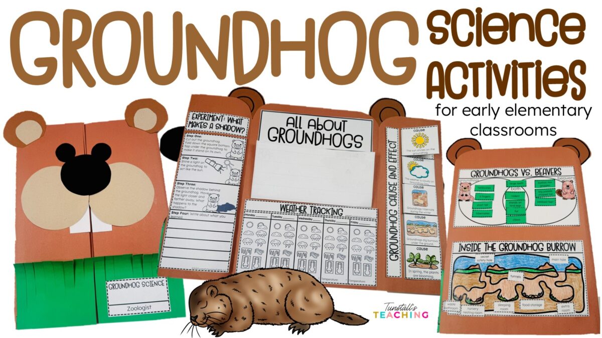 Groundhog science activities for early elementary classrooms